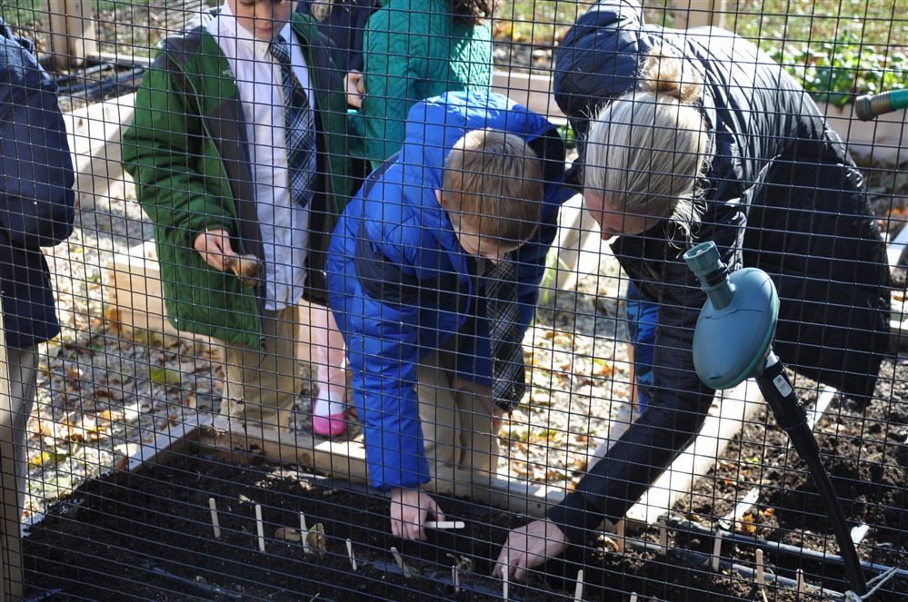 Gardening